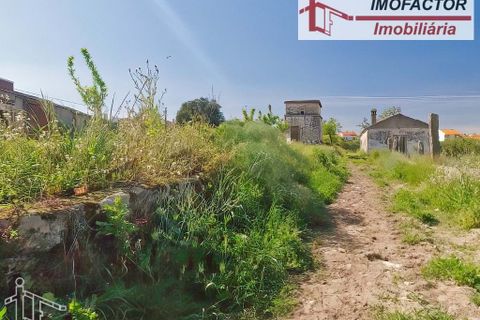 Farm hus i Castelo Branco, Castelo Branco, Castelo Branco - € 364.000 | Ref: 21-11690 - foto 6