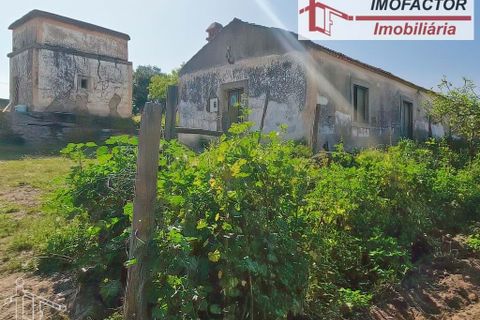 Farm hus i Castelo Branco, Castelo Branco, Castelo Branco - € 364.000 | Ref: 21-11690 - foto 7