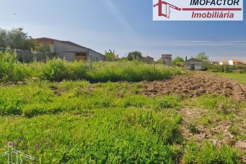 Farm hus i Castelo Branco, Castelo Branco, Castelo Branco - € 364.000 | Ref: 21-11690 - foto 9