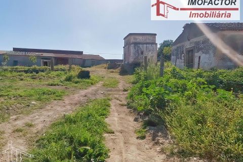 Farm hus i Castelo Branco, Castelo Branco, Castelo Branco - € 364.000 | Ref: 21-11690 - foto 10