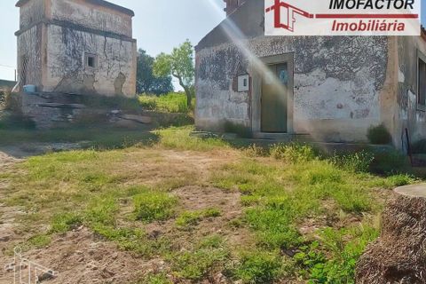 Farm hus i Castelo Branco, Castelo Branco, Castelo Branco - € 364.000 | Ref: 21-11690 - foto 12