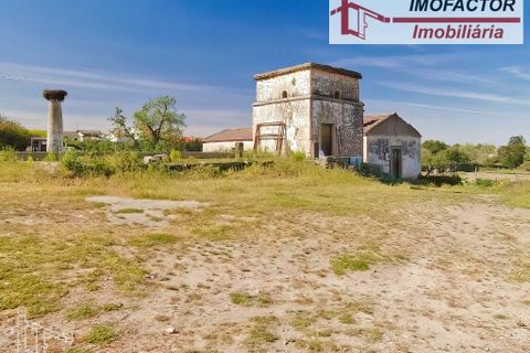 Farm hus i Castelo Branco, Castelo Branco, Castelo Branco - € 364.000 | Ref: 21-11690 - foto 14
