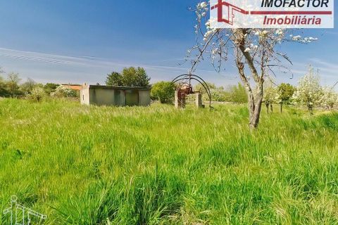Farm hus i Castelo Branco, Castelo Branco, Castelo Branco - € 364.000 | Ref: 21-11690 - foto 15