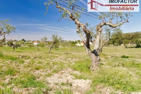 Farm hus i Castelo Branco, Castelo Branco, Castelo Branco - € 364.000 | Ref: 21-11690 - foto 18