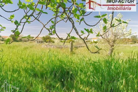 Farm hus i Castelo Branco, Castelo Branco, Castelo Branco - € 364.000 | Ref: 21-11690 - foto 19