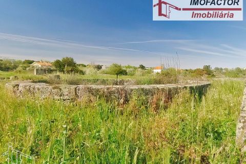 Farm hus i Castelo Branco, Castelo Branco, Castelo Branco - € 364.000 | Ref: 21-11690 - foto 20