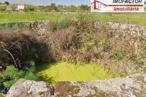 Farm hus i Castelo Branco, Castelo Branco, Castelo Branco - € 364.000 | Ref: 21-11690 - foto 21