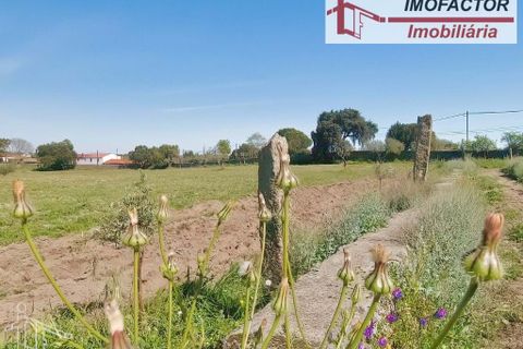 Farm hus i Castelo Branco, Castelo Branco, Castelo Branco - € 364.000 | Ref: 21-11690 - foto 22