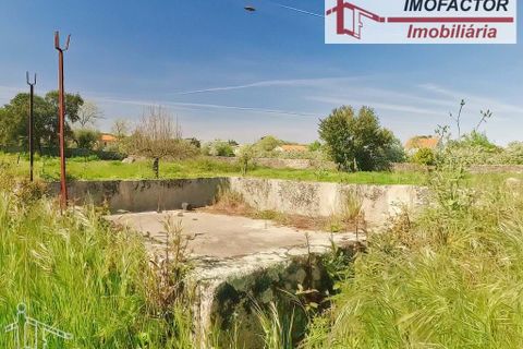 Farm hus i Castelo Branco, Castelo Branco, Castelo Branco - € 364.000 | Ref: 21-11690 - foto 23