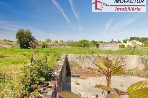 Farm hus i Castelo Branco, Castelo Branco, Castelo Branco - € 364.000 | Ref: 21-11690 - foto 24