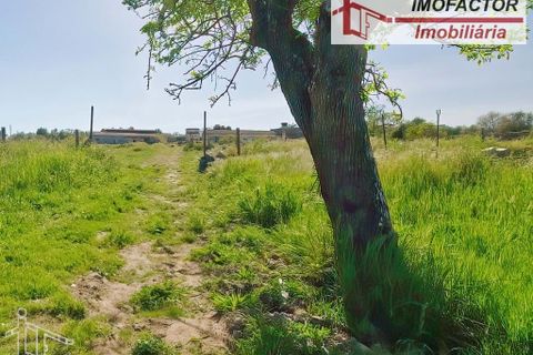 Farm hus i Castelo Branco, Castelo Branco, Castelo Branco - € 364.000 | Ref: 21-11690 - foto 25