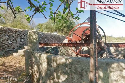Farm hus i Castelo Branco, Castelo Branco, Castelo Branco - € 364.000 | Ref: 21-11690 - foto 26