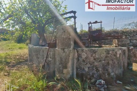 Farm hus i Castelo Branco, Castelo Branco, Castelo Branco - € 364.000 | Ref: 21-11690 - foto 28