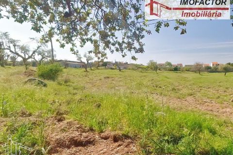 Farm hus i Castelo Branco, Castelo Branco, Castelo Branco - € 364.000 | Ref: 21-11690 - foto 30