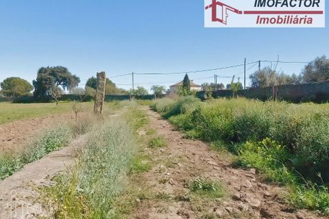 Farm hus i Castelo Branco, Castelo Branco, Castelo Branco - € 364.000 | Ref: 21-11690 - foto 31