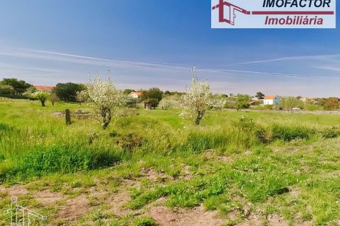 Farm hus i Castelo Branco, Castelo Branco, Castelo Branco - € 364.000 | Ref: 21-11690 - foto 32