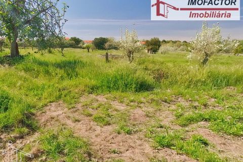 Farm hus i Castelo Branco, Castelo Branco, Castelo Branco - € 364.000 | Ref: 21-11690 - foto 33