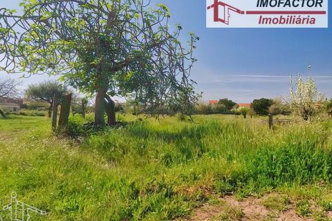 Farm hus i Castelo Branco, Castelo Branco, Castelo Branco - € 364.000 | Ref: 21-11690 - foto 34