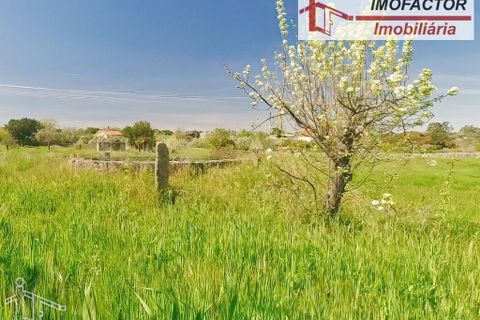 Farm hus i Castelo Branco, Castelo Branco, Castelo Branco - € 364.000 | Ref: 21-11690 - foto 35