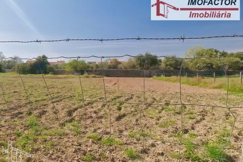 Farm hus i Castelo Branco, Castelo Branco, Castelo Branco - € 364.000 | Ref: 21-11690 - foto 36