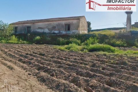 Farm hus i Castelo Branco, Castelo Branco, Castelo Branco - € 364.000 | Ref: 21-11690 - foto 37