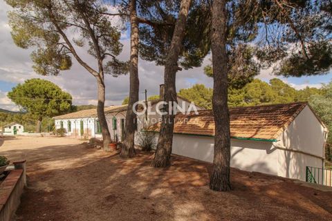 Byhus i Ibi, Alicante, Ibi - € 698.000 | Ref: 472/6818 - foto 3