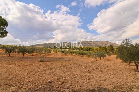 Byhus i Ibi, Alicante, Ibi - € 698.000 | Ref: 472/6818 - foto 10