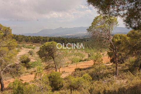 Byhus i Ibi, Alicante, Ibi - € 698.000 | Ref: 472/6818 - foto 11