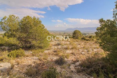 Byhus i Ibi, Alicante, Ibi - € 698.000 | Ref: 472/6818 - foto 12