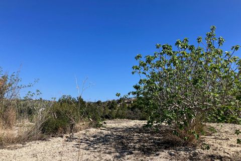Helårsgrund i Benissa, Alicante, Benissa - € 199.000 | Ref: G-1771-AMB - foto 11