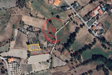 Helårsgrund i Chaves, Vila Real, Chaves - € 7.800 | Ref: CM01-0143 - foto 2