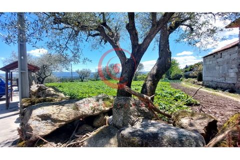 Helårsgrund i Chaves, Vila Real, Chaves - € 37.500 | Ref: CM01-0142 - foto 3
