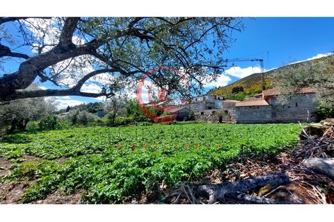 Helårsgrund i Chaves, Vila Real, Chaves - € 37.500 | Ref: CM01-0142 - foto 4