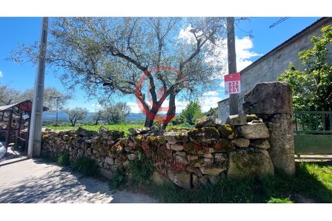 Helårsgrund i Chaves, Vila Real, Chaves - € 37.500 | Ref: CM01-0142 - foto 5