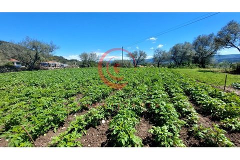 Helårsgrund i Chaves, Vila Real, Chaves - € 37.500 | Ref: CM01-0142 - foto 6