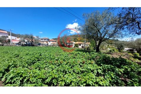 Helårsgrund i Chaves, Vila Real, Chaves - € 37.500 | Ref: CM01-0142 - foto 7