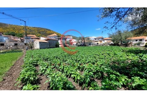 Helårsgrund i Chaves, Vila Real, Chaves - € 37.500 | Ref: CM01-0142 - foto 9