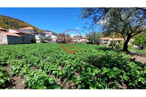 Helårsgrund i Chaves, Vila Real, Chaves - € 37.500 | Ref: CM01-0142 - foto 10