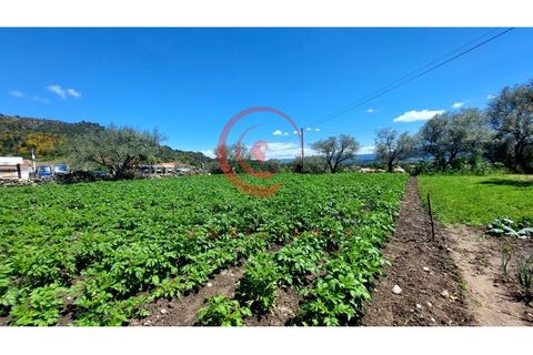 Helårsgrund i Chaves, Vila Real, Chaves - € 37.500 | Ref: CM01-0142 - foto 11