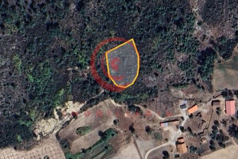 Erhvervsejendom i Chaves, Vila Real, Chaves - € 5.000 | Ref: CM01-0153 - foto 2