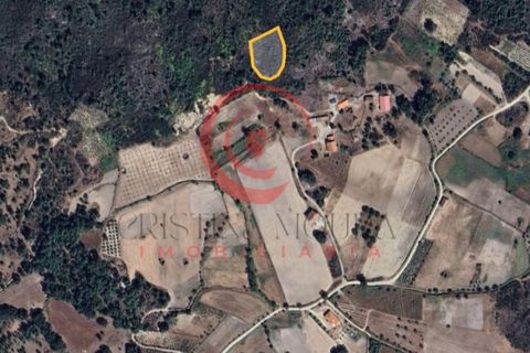 Erhvervsejendom i Chaves, Vila Real, Chaves - € 5.000 | Ref: CM01-0153 - foto 3