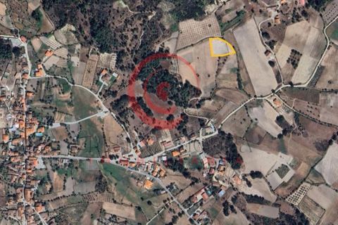 Helårsgrund i Chaves, Vila Real, Chaves - € 17.000 | Ref: CM01-0150 - foto 3