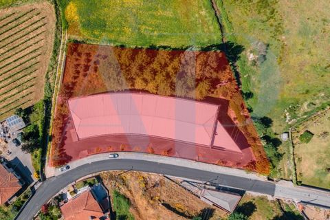Bungalow i Ronfe, Braga, Ronfe - € 980.000 | Ref: Pavilhão Ronfe - foto 13