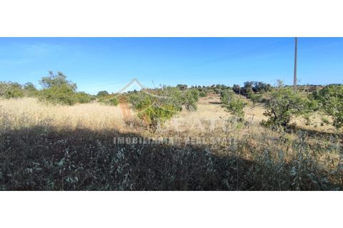 Helårsgrund i Estombar, Faro, Estombar - € 200.000 | Ref: 9141 - foto 4