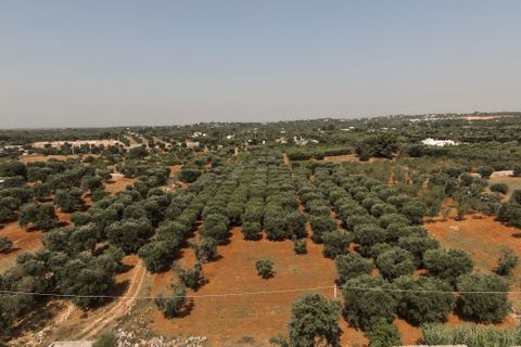 Helårsgrund i Ostuni, Brindisi, Ostuni - € 155.000 | Ref: 639 - foto 1