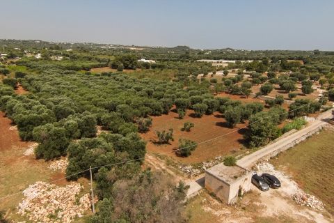 Helårsgrund i Ostuni, Brindisi, Ostuni - € 155.000 | Ref: 639 - foto 3