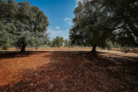 Villa i Carovigno, Brindisi, Carovigno - € 75.000 | Ref: 642 - foto 3