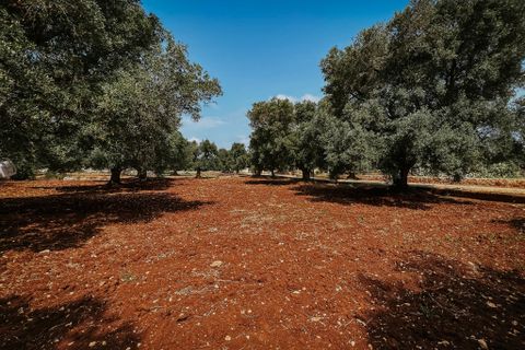 Villa i Carovigno, Brindisi, Carovigno - € 75.000 | Ref: 642 - foto 4