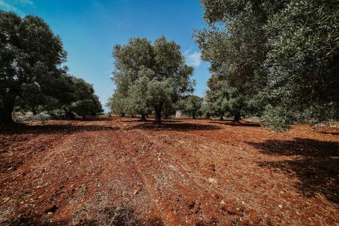 Villa i Carovigno, Brindisi, Carovigno - € 75.000 | Ref: 642 - foto 5