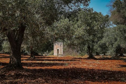 Villa i Carovigno, Brindisi, Carovigno - € 75.000 | Ref: 642 - foto 6